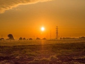 Sun rising over a field